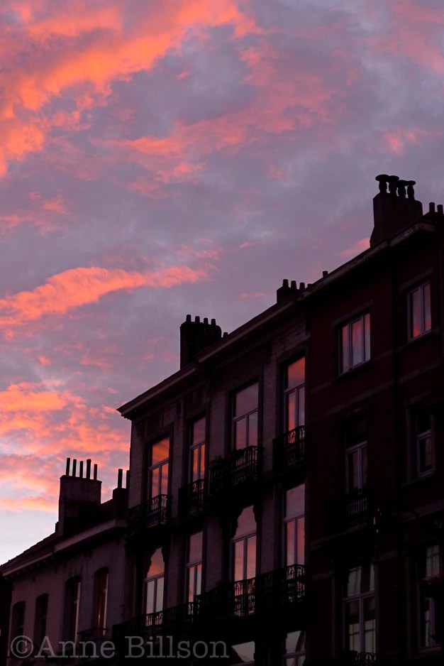 Roze ramen: Waterloosesteenweg, Sint-Gillis.