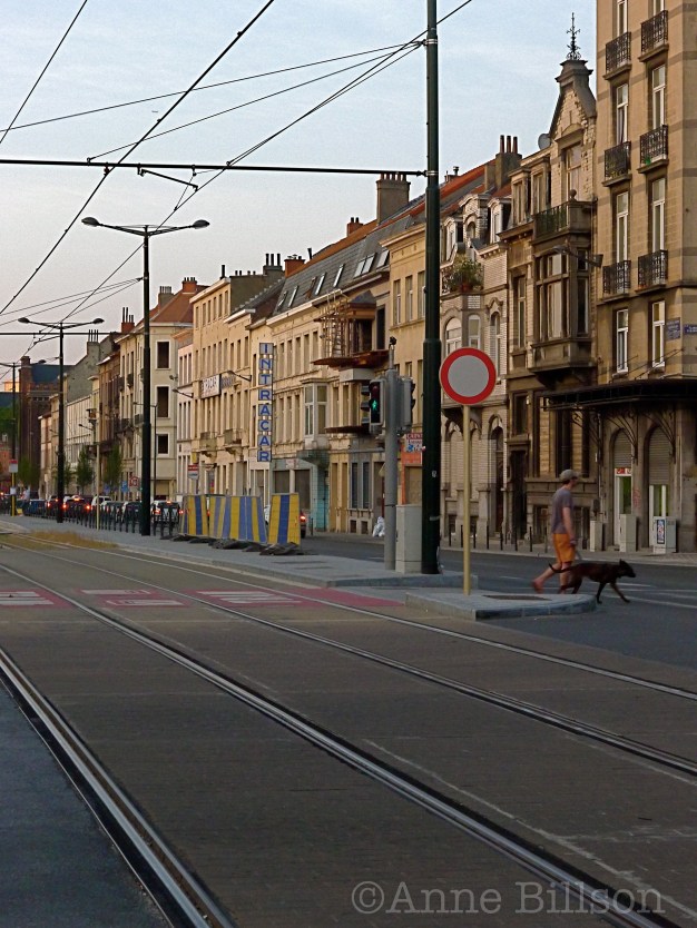 Bij de tramhalte (noord): Nieuwpoortlaan, Brussel.