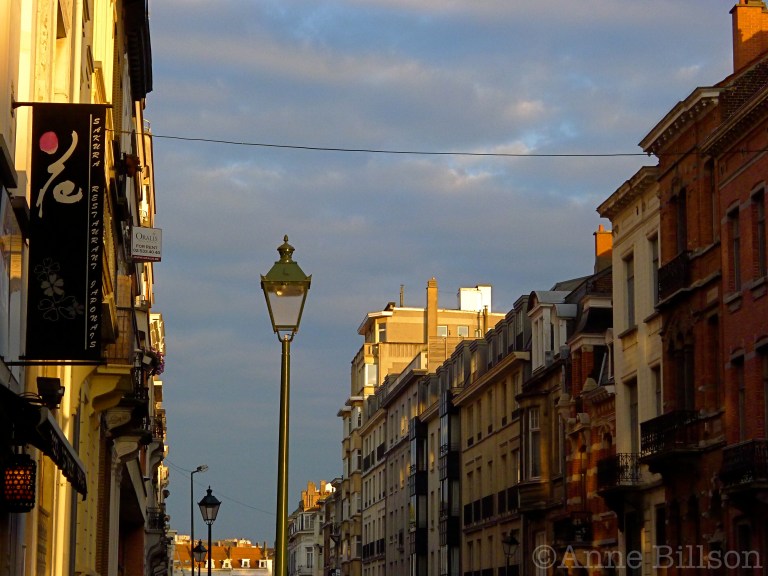 Sakura Restaurant Japonais: Simonisstraat 2, Sint-Gillis.