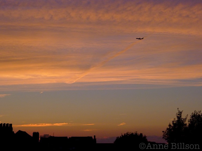 Vliegtuig: Sint-Gillis.