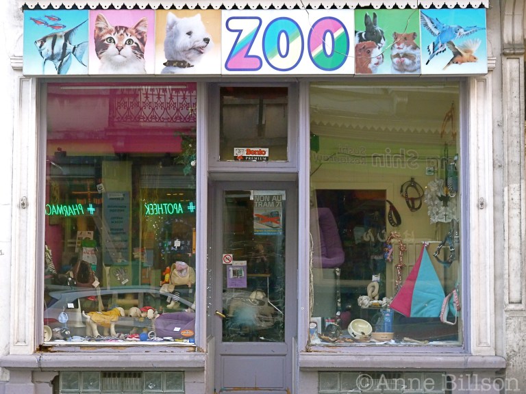 Zoo: Elsensesteenweg 156, Elsene.