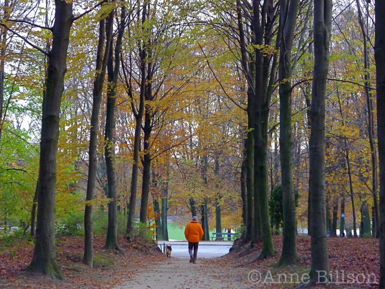 Oranje jas: Ter Kamerenbos, Brussel.