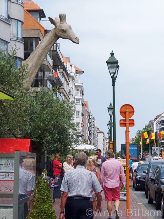 Giraffe: Knokke.