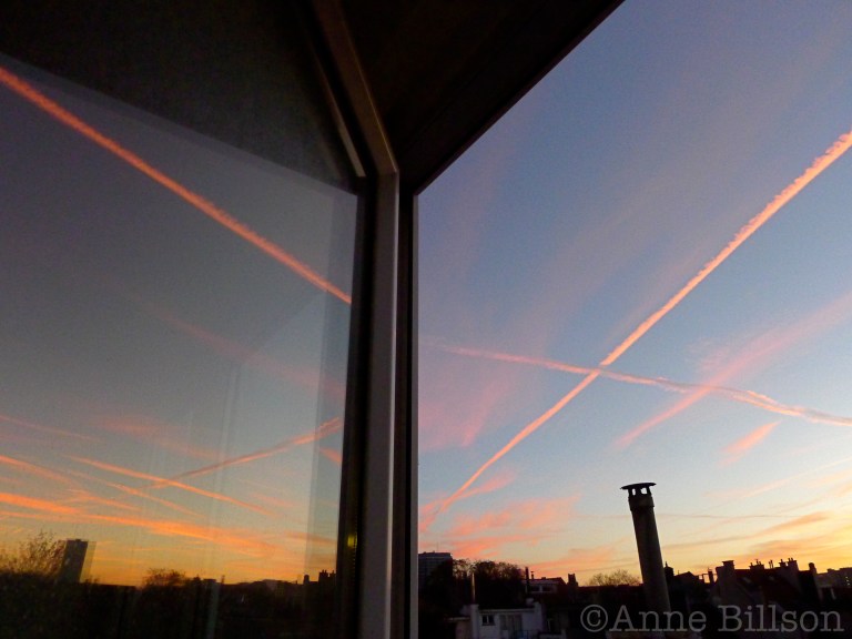 Roze kruis: Sint-Gillis.