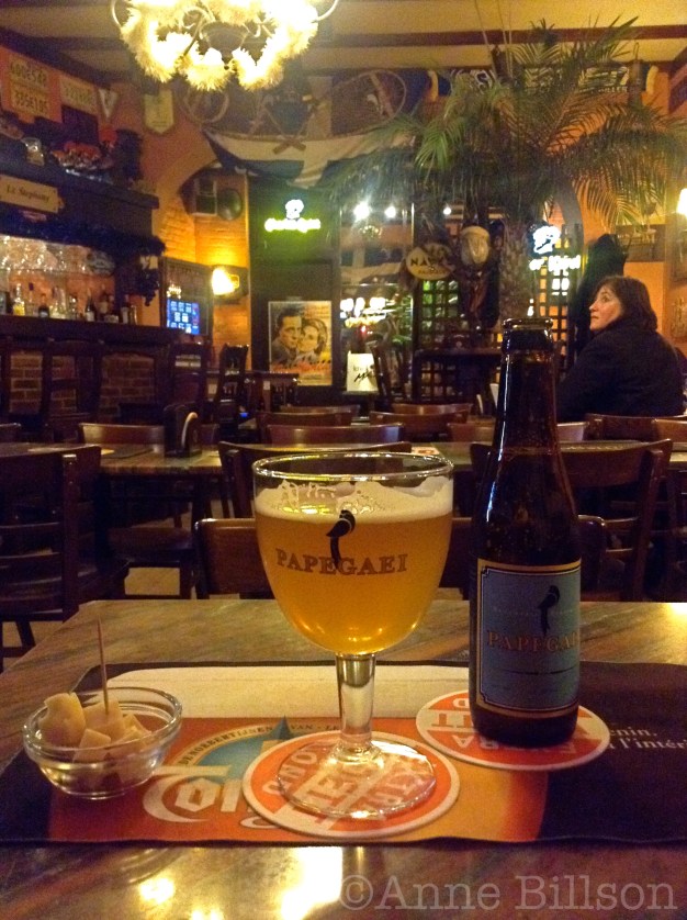 Papegaei, 8%: Le Stephany, Dejonckerstraat 52, Sint-Gillis.