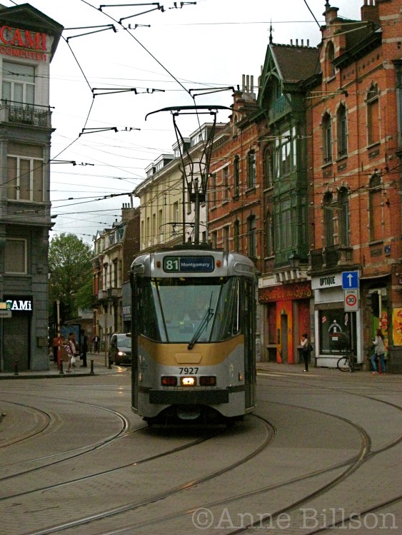tram8103 copy