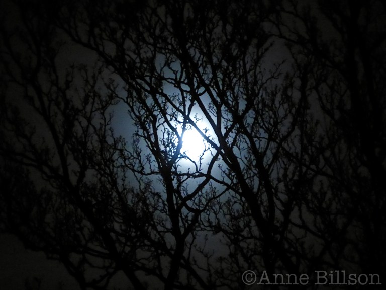 Gevaarlijke maanlicht: Sint-Gillis.