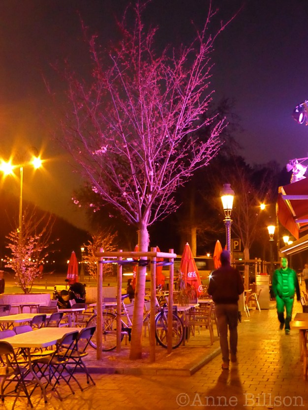 Roze boom: Eugène Simonisplein, Koekelberg.