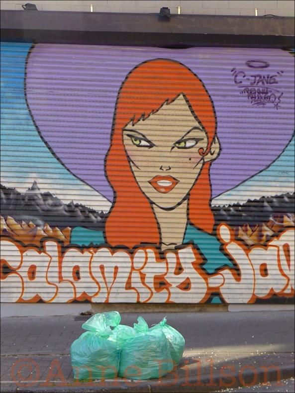 Calamity Jane: Alsembergsesteenweg, Vorst.