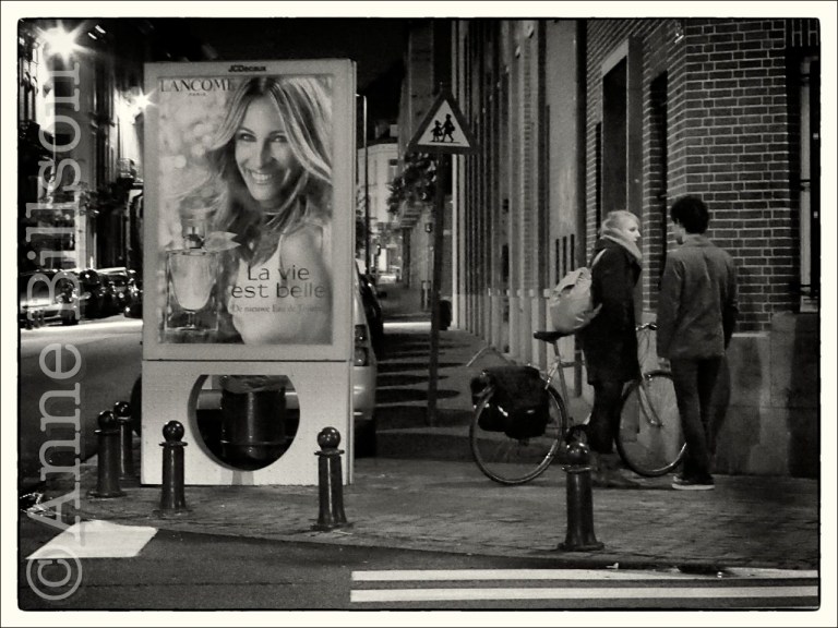 La vie est belle: Notarisstraat, Elsene.