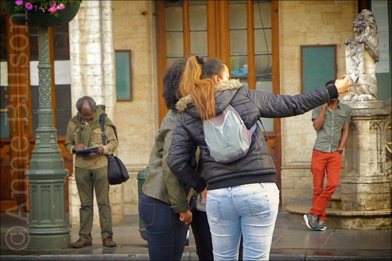 Leeuw sejant: Grote-plein, Brussel.
