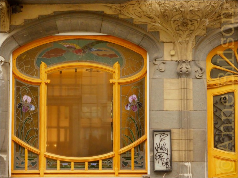 darwinacqua3 copy[1]