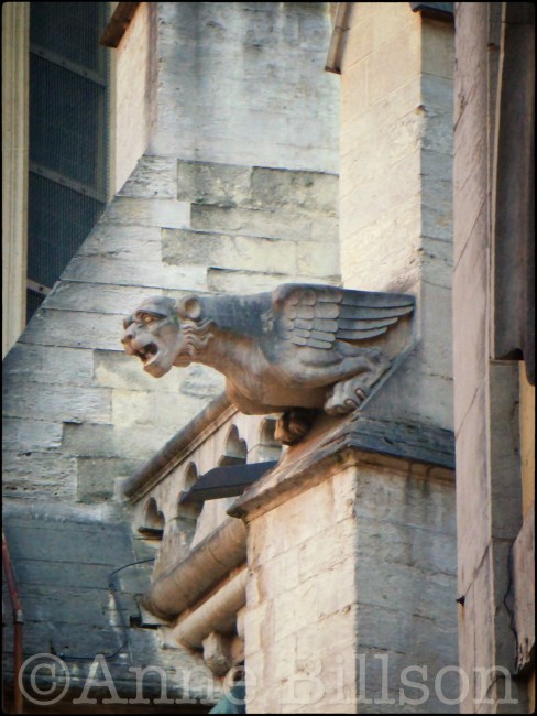Waterspuwer: Sint-Michiels en Sint Goedelekathedraal, Brussel.
