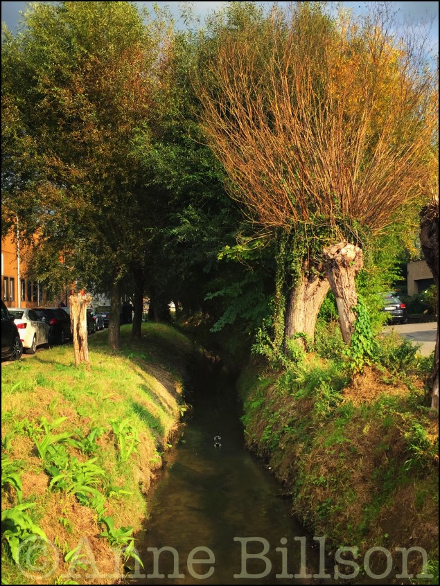 Beek: tussen Hoge Beekkant en 's Gravenmolenstraat, Grimbergen.