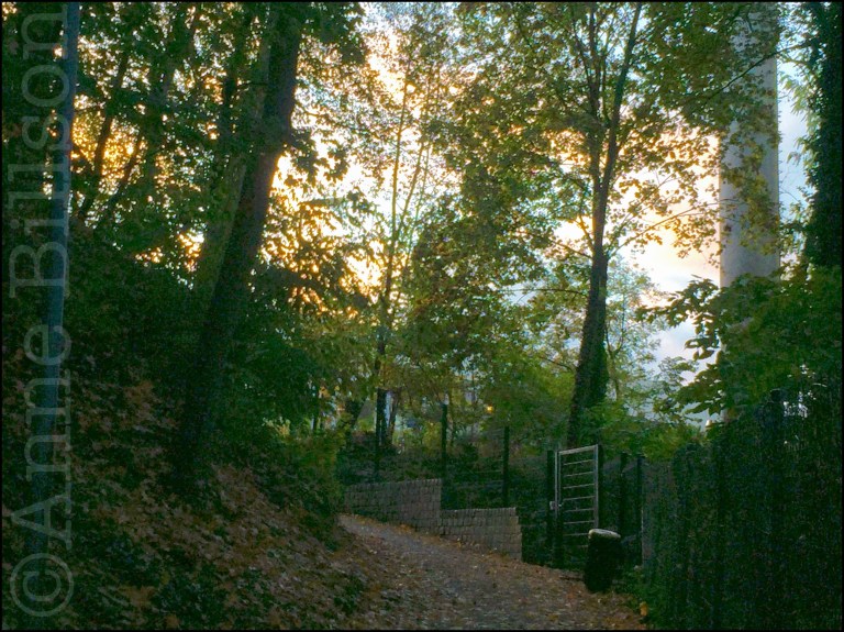 Het pad naar het zwembad: Defrésquare, Ukkel.