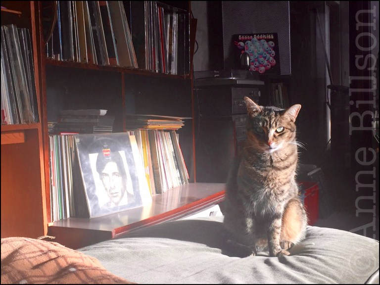 Ruse in vrede, Leonard Cohen.