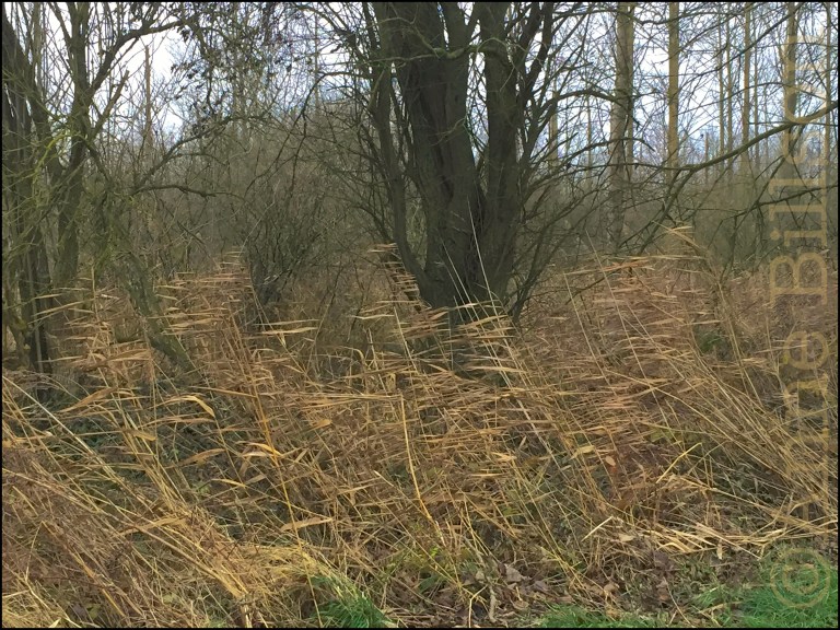 Verwaaid: Lessen, Henegouwen.