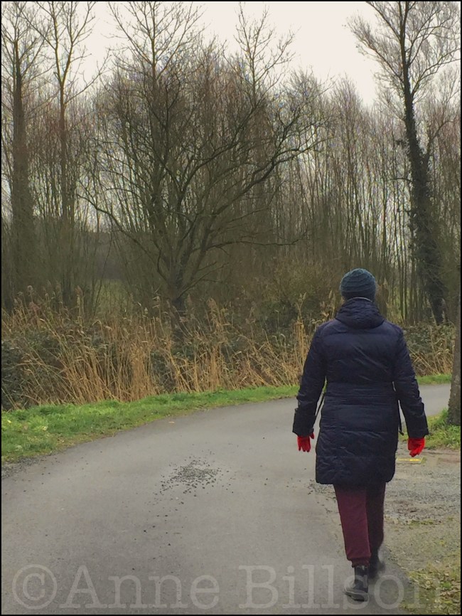 Het pad: Lessen, Henegouwen.