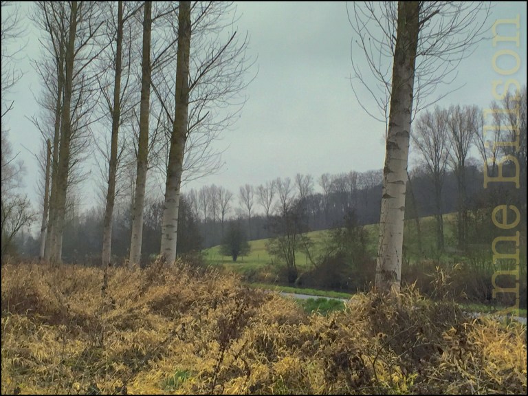 Zilverberken: Lessen, Henegouwen.