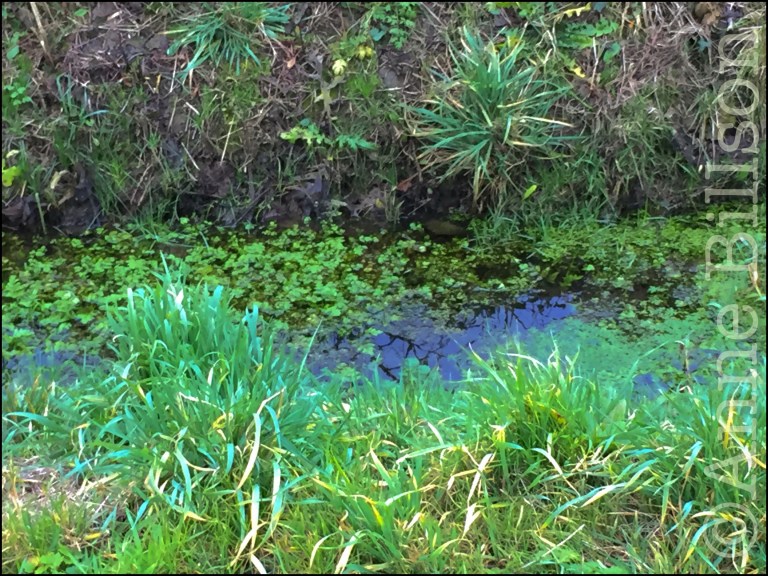 De greppel: Lessen, Henegouwen.