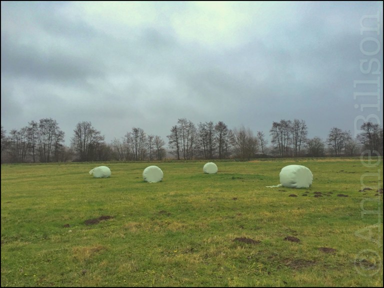 Hooibalen: Lessen, Henegouwen.